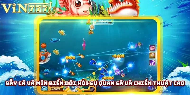 Bẫy cá và mìn biển dòi hỏi sự quan sá và chiến thuật cao Bẫy cá và mìn biển dòi hỏi sự quan sá và chiến thuật cao